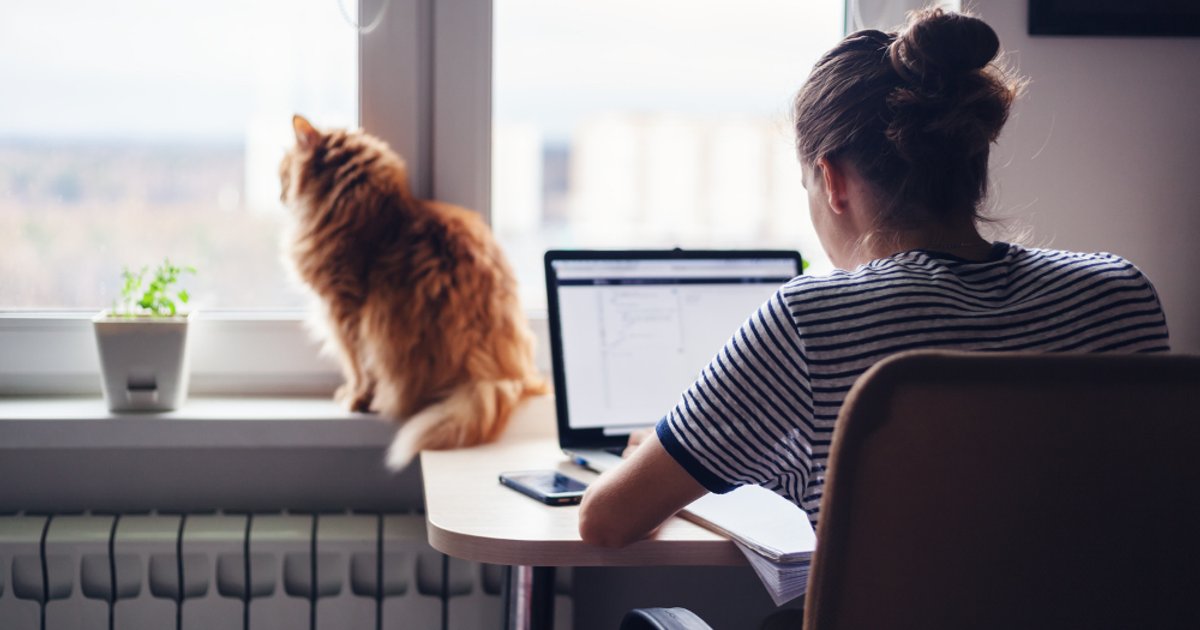Teljes home office: áldás vagy csapda?