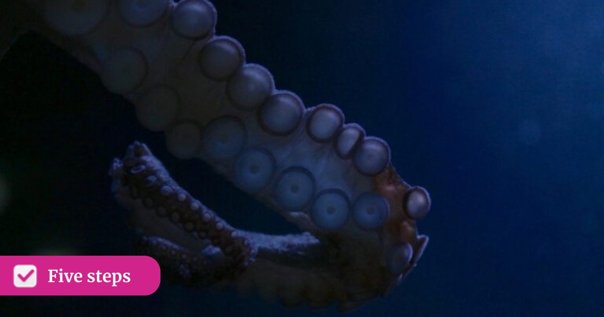 Az Octopus-teszt: így tartsuk kézben az ügynök AI-t