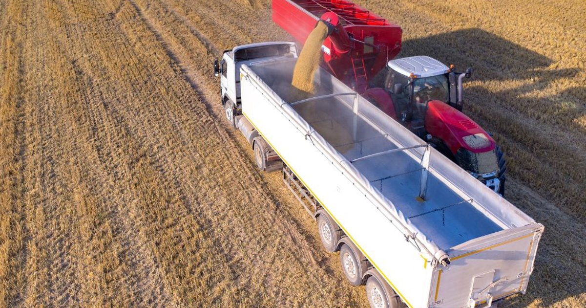 387 500 dollár bírság és kitiltás – farm fizetett drágán