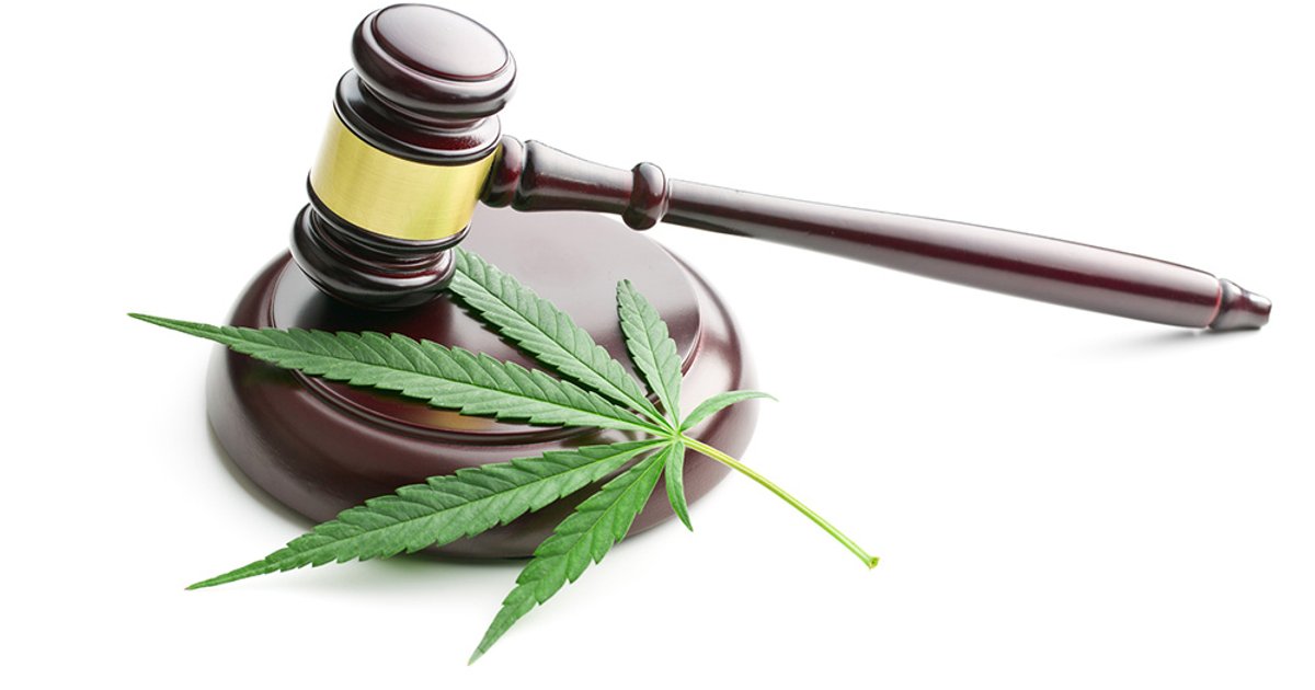 Kannabisz-átsorolás: a HR-nek most kell felkészülnie