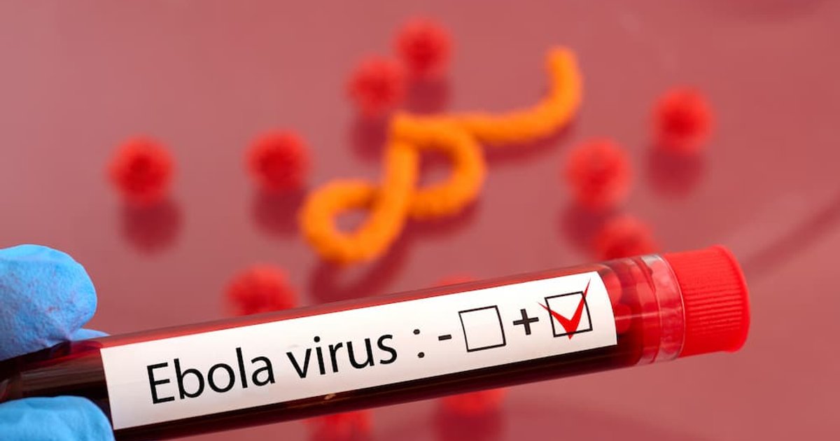 Ebola-kockázat: itt az idő felülvizsgálni a járványterveket