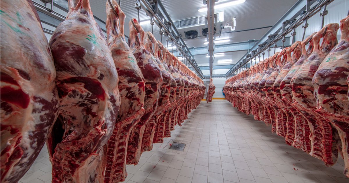 Cargill-botrány: az albertai hatóság cserbenhagyta a munkavállalókat