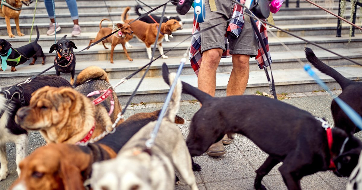 A legjobb vezető nem karizmatikus – hanem figyelmes