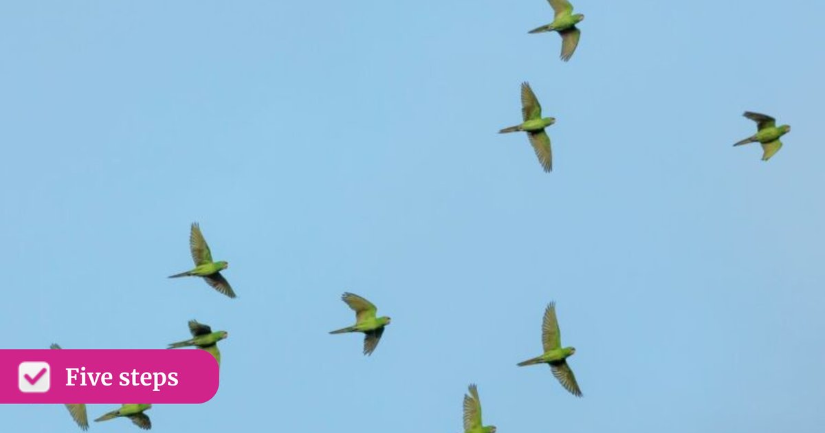 Hagyj fel a HR-üzemeltetéssel – kezdj el üzletet irányítani