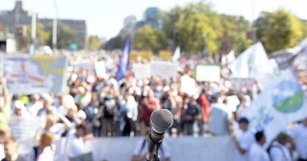 Demokratia-charta: hogyan pozicionálják magukat a cégek politikailag?